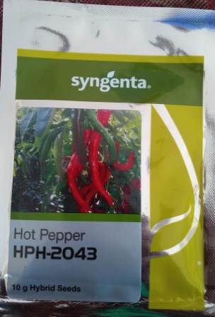  HPH 2043-1500 Seeds
